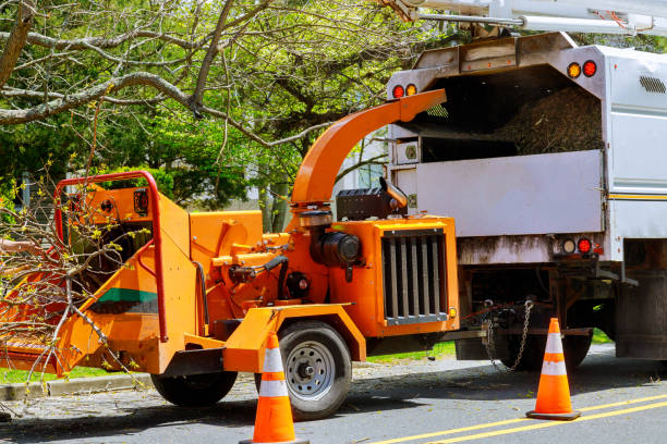 Trusted Withamsville, OH Tree Removal and Landscaping Services Experts